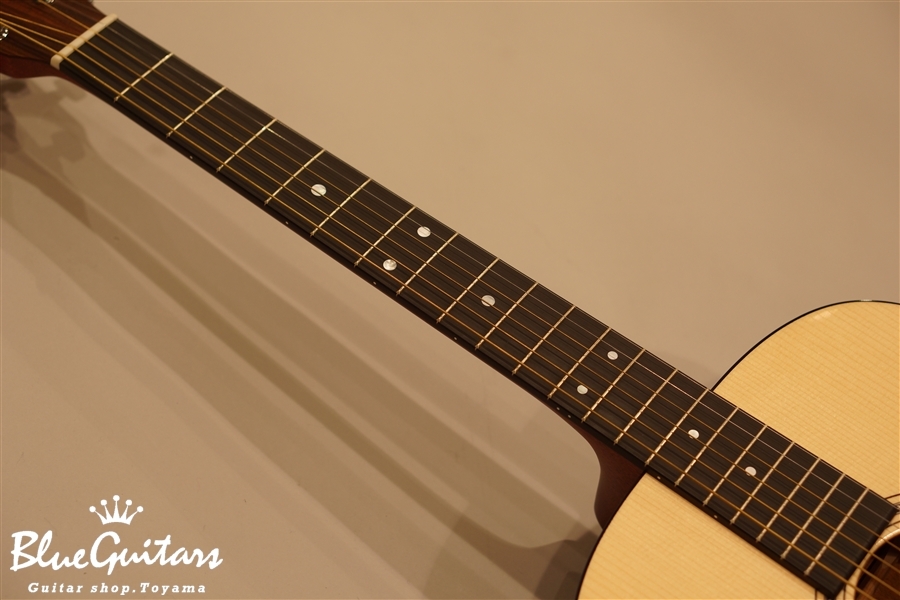 Martin CTM D-16GT Adirondack Spruce | Blue Guitars Online Store
