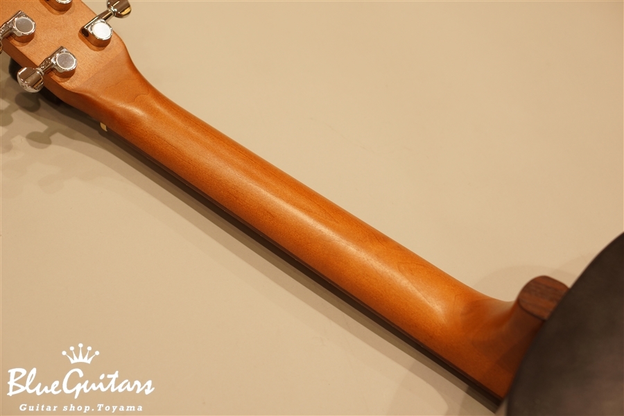 Art&Lutherie Ami Ceder | Blue Guitars Online Store