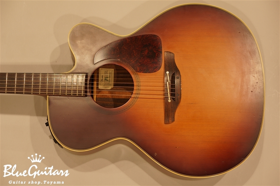 Takamine NPT-012BS | Blue Guitars Online Store