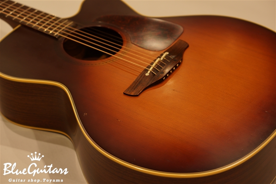 Takamine NPT-012BS | Blue Guitars Online Store