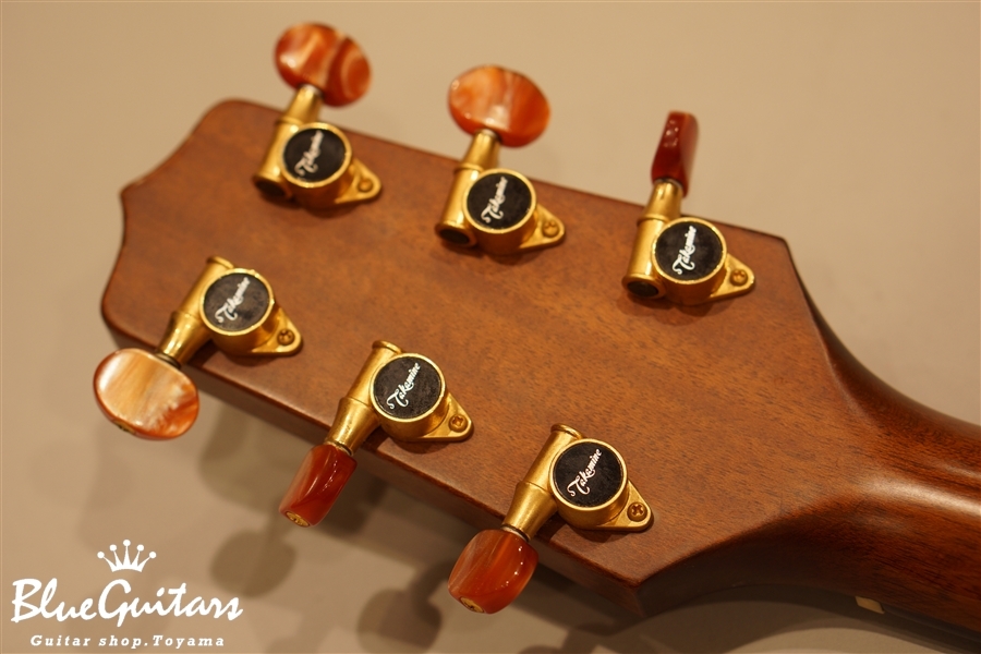 Takamine NPT-012BS | Blue Guitars Online Store