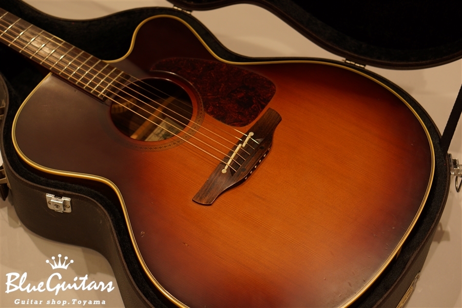 Takamine NPT-012BS | Blue Guitars Online Store