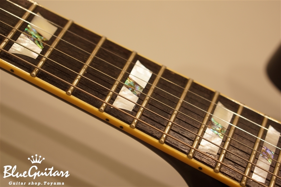 SCHECTER PT-Custom | Blue Guitars Online Store