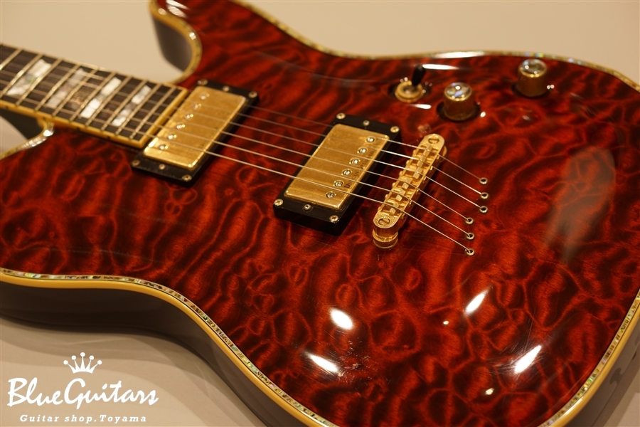 SCHECTER PT-Custom | Blue Guitars Online Store