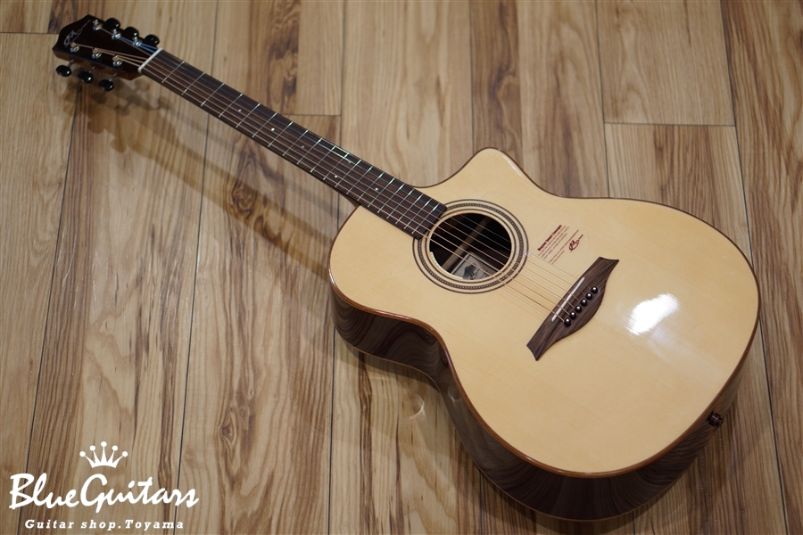 MAYSON M5SCE | Blue Guitars Online Store