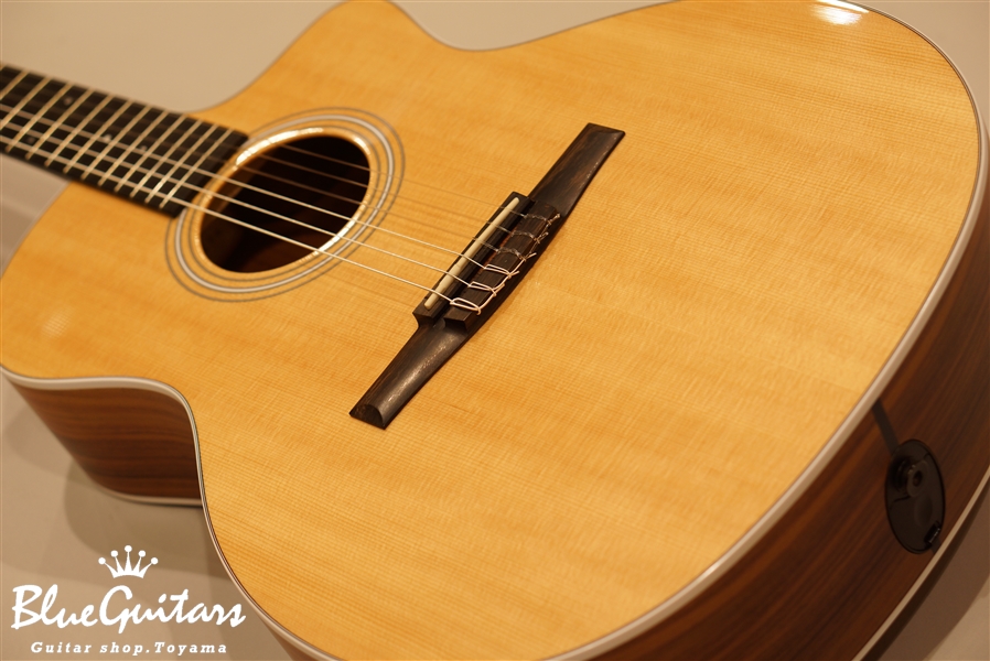 Taylor 214ce-Nylon | Blue Guitars Online Store