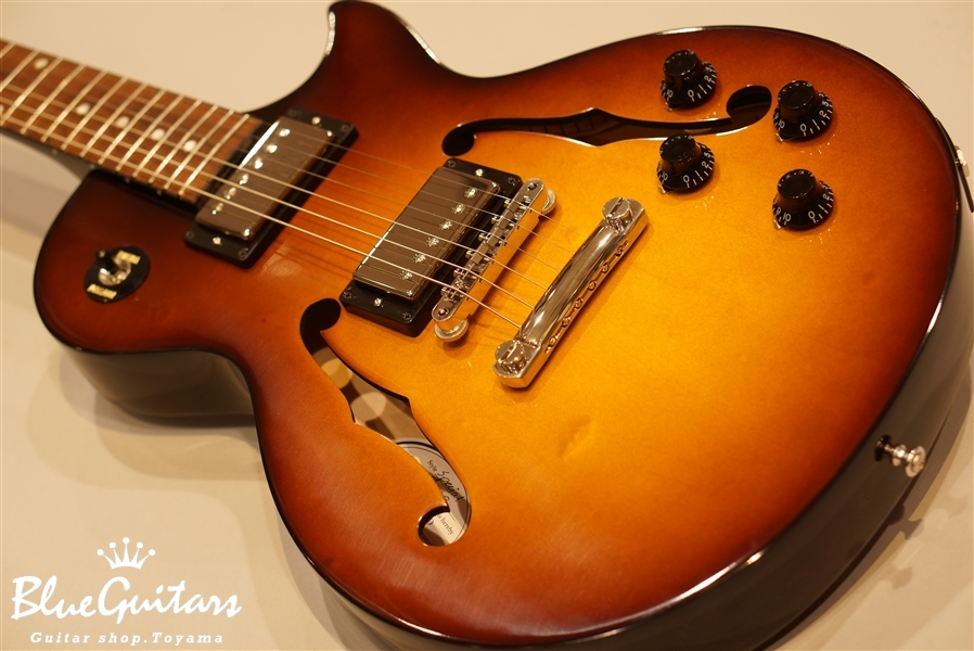 ES-Les Paul Special 2016 - Iced Tea Burst