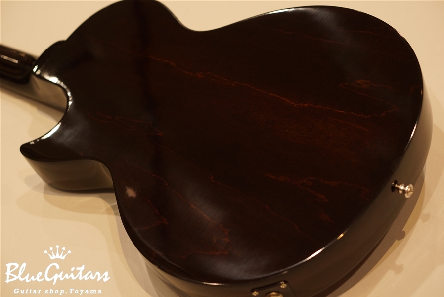 ES-Les Paul Special 2016 - Iced Tea Burst