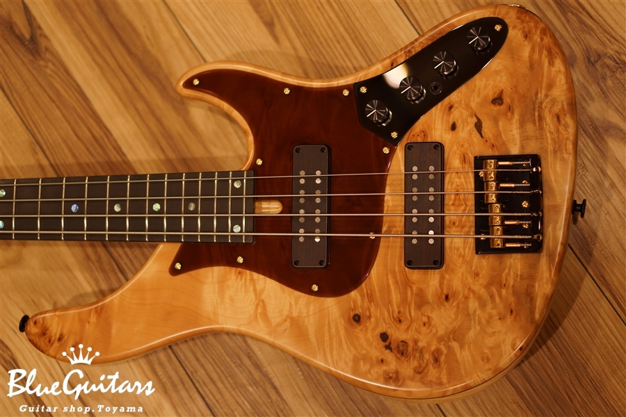 Bacchus WOODLINE24 DX4AC-EWC/JHCB | Blue Guitars Online Store