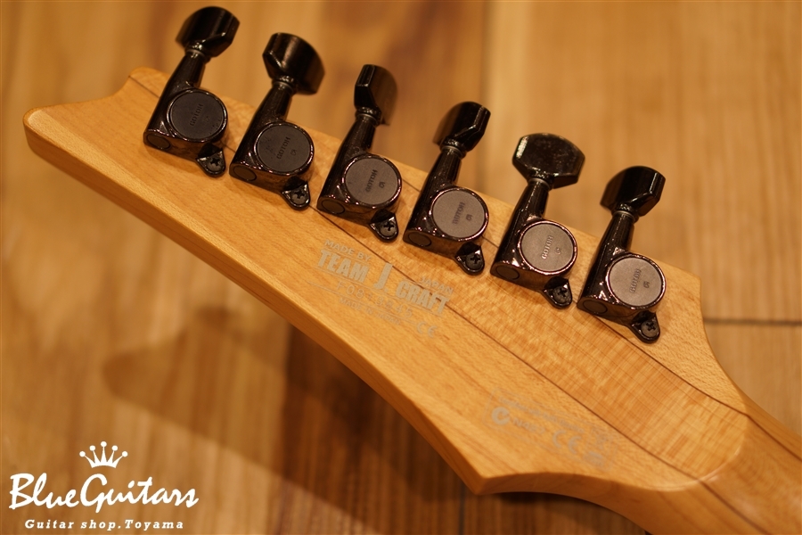 IBANEZ Prestige RG1521 - 楽器、器材