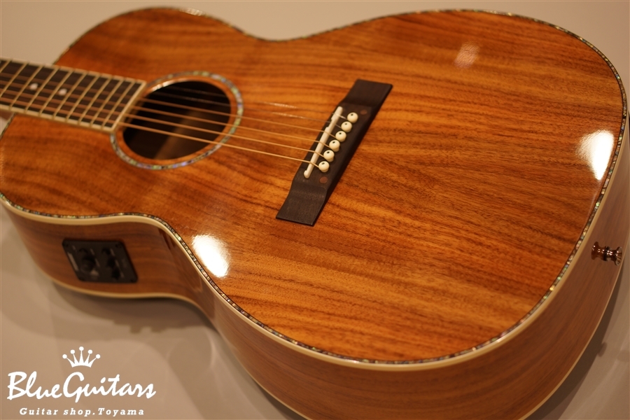 Stella STLPEAK14 / Gloss Finish (Stella Parlor Ele/Acoustic