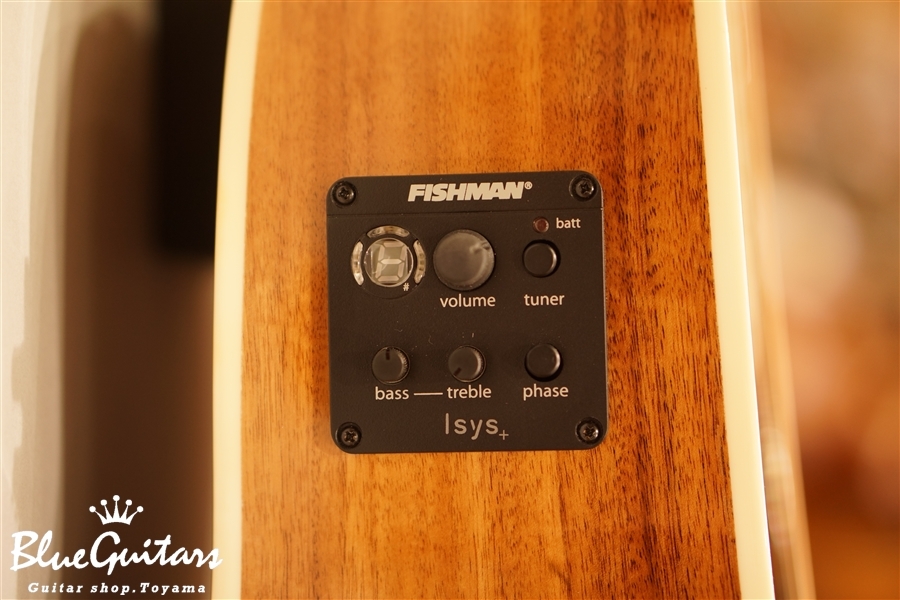 Stella STLPEAK14 / Gloss Finish (Stella Parlor Ele/Acoustic