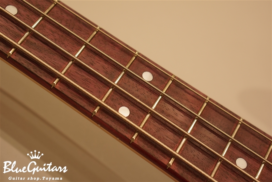 Bacchus WL-434 LTD/PH - PPLM | Blue Guitars Online Store