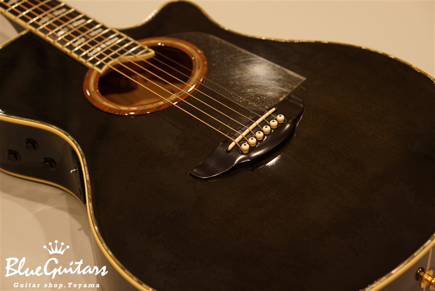 YAMAHA APX-20S | Blue Guitars Online Store
