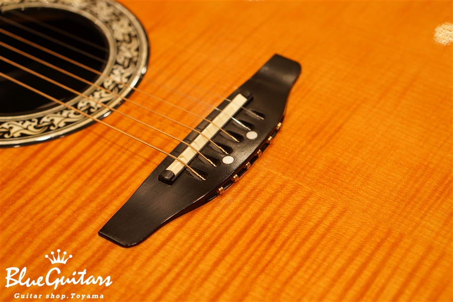 Ovation 386T | Blue Guitars Online Store