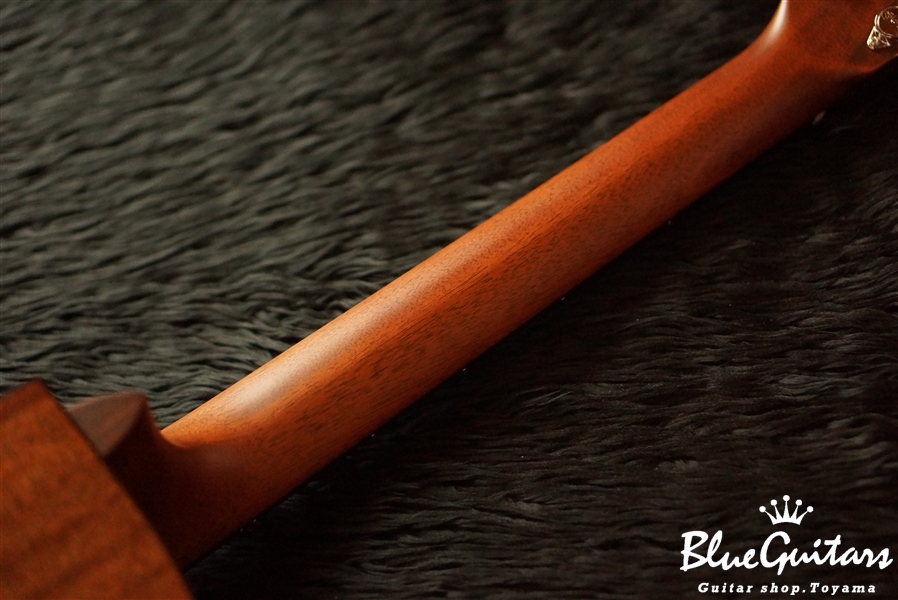 Martin DCPA4 | Blue Guitars Online Store