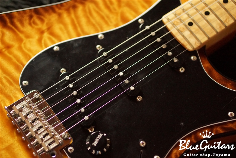 Fender 2017 Limited Edition American Professional Mahogany