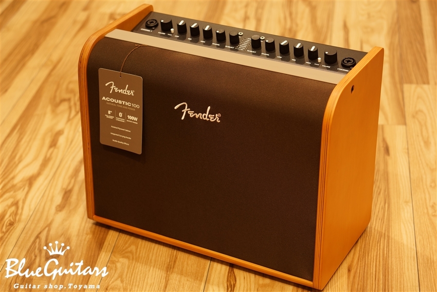 Fender Acoustic 100 Blue Guitars Online Store