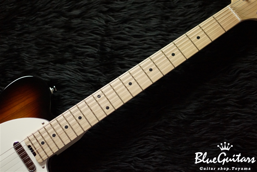 SCHECTER N-PT-AS - TSB | Blue Guitars Online Store