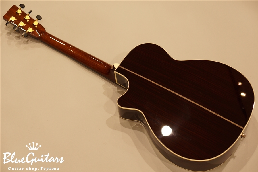 Tears OM-C R with IP-2 & OBP-Special + Birdland/Acoustic Tears OM-C R with IP-2 & OBP-Special + Birdland/Acoustic