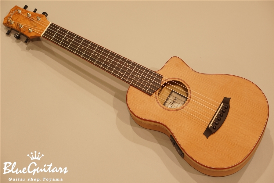 Cordoba MINI SM-CE | Blue Guitars Online Store