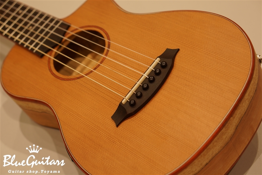 Cordoba MINI SM-CE | Blue Guitars Online Store
