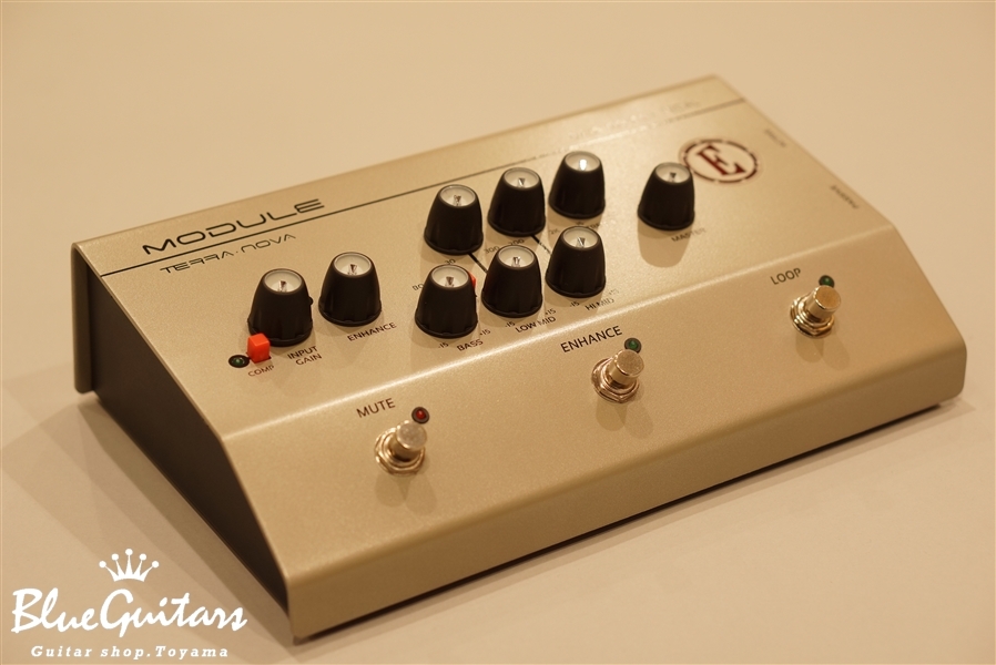 EDEN Module | Blue Guitars Online Store