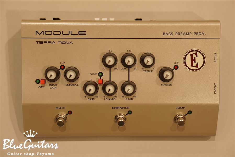 EDEN Module | Blue Guitars Online Store