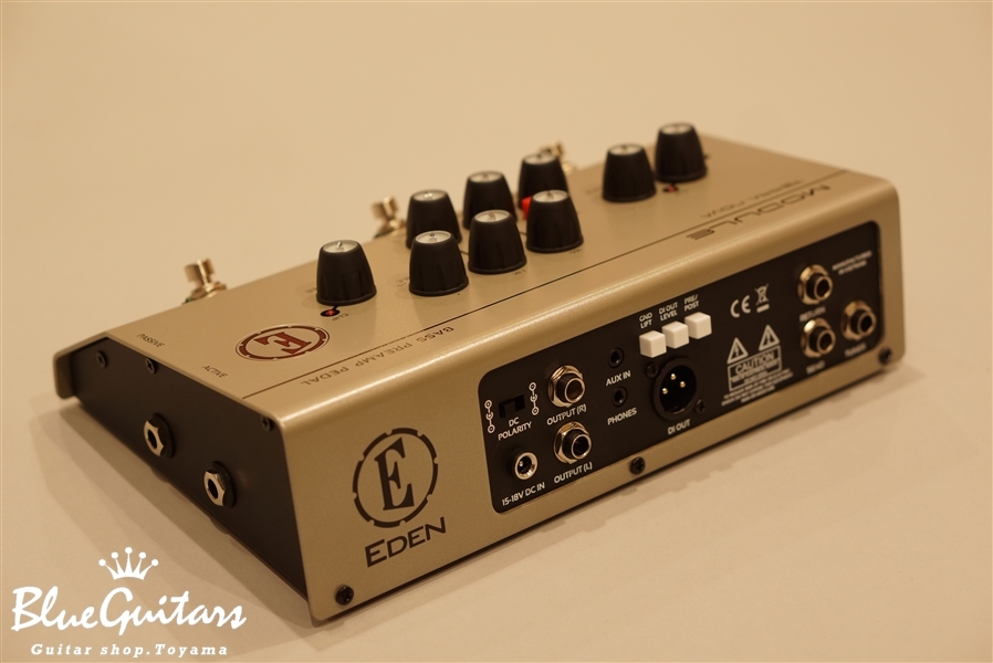 EDEN Module | Blue Guitars Online Store