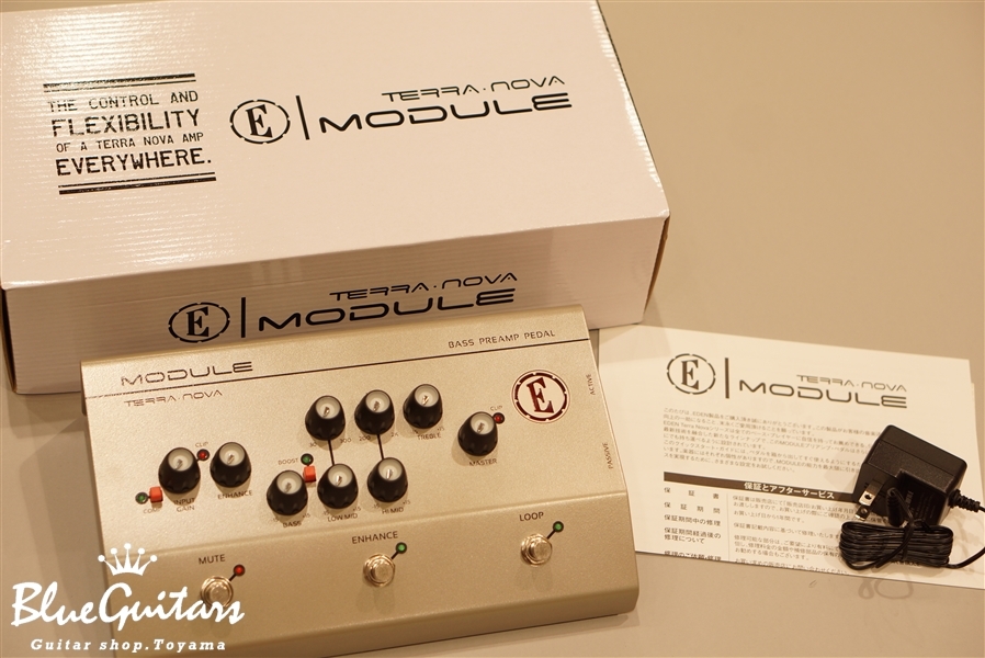 EDEN Module | Blue Guitars Online Store