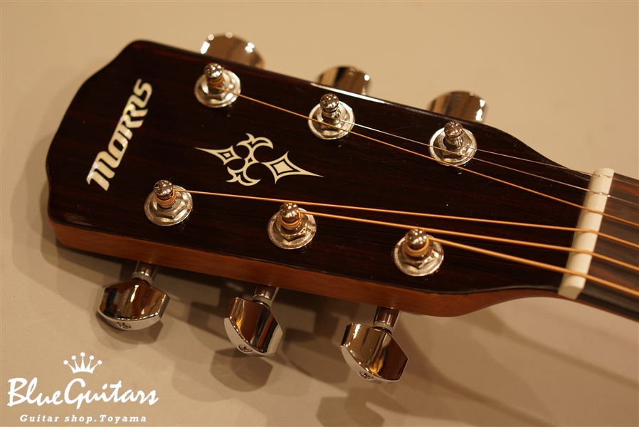 Morris M-351 - TS | Blue Guitars Online Store