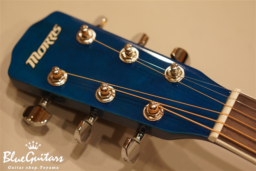 Morris R-401 - SBU | Blue Guitars Online Store