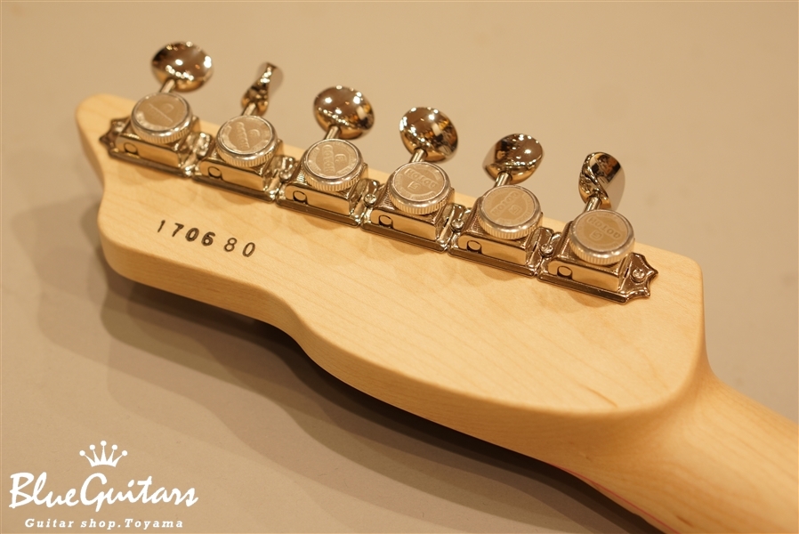 SAITO GUITARS S-622TLC Alder/M - Naked w/Matching Head(Black