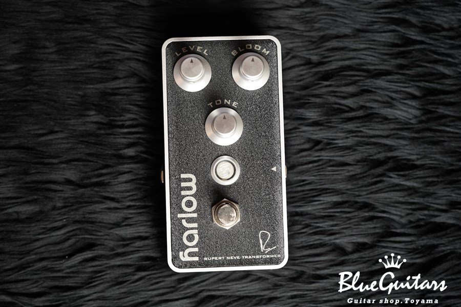 Bogner Harlow black - エフェクター