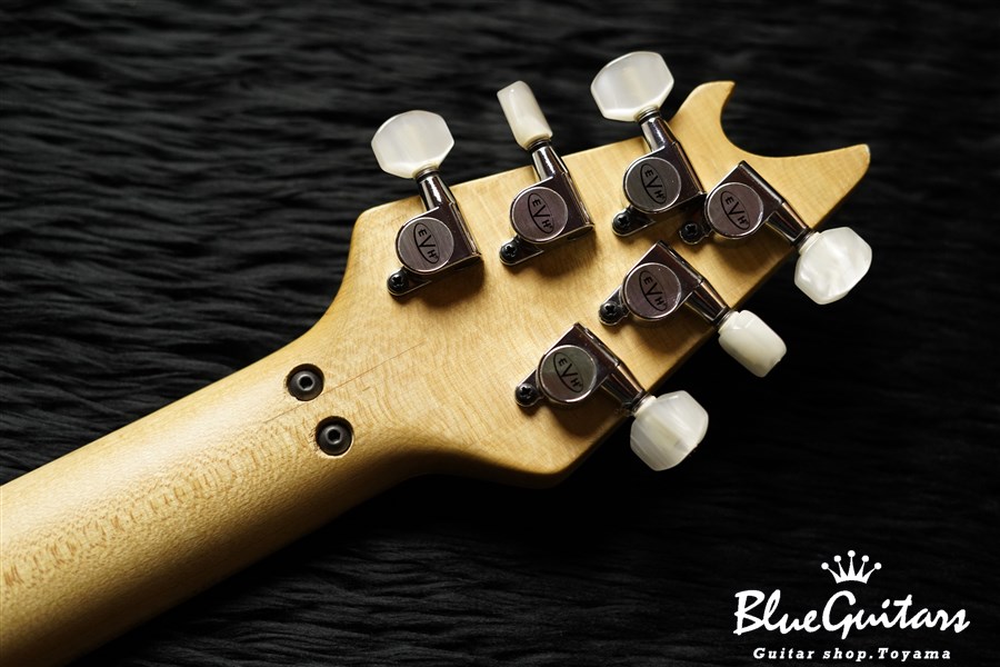 EVH Wolfgang USA Black | Blue Guitars Online Store
