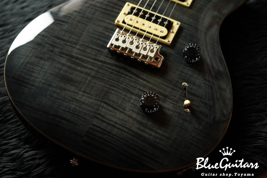 Paul Reed Smith(PRS) SE Custom 24 - Gray Black | Blue Guitars Online Store