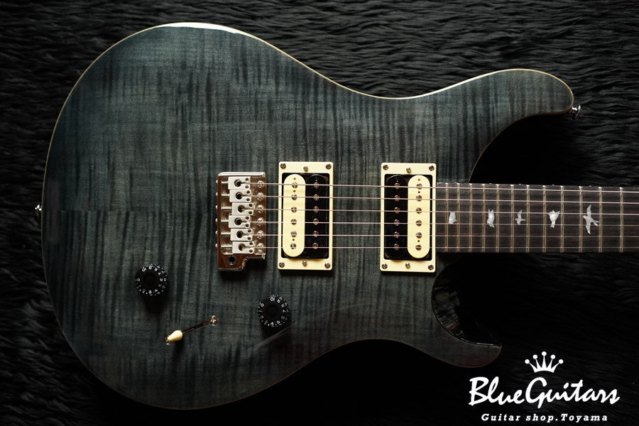 Paul Reed Smith(PRS) SE Custom 24 - Gray Black | Blue Guitars Online Store