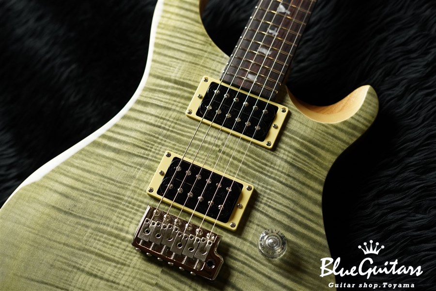 Paul Reed Smith(PRS) SE Custom 24 - Trampas Green | Blue Guitars 