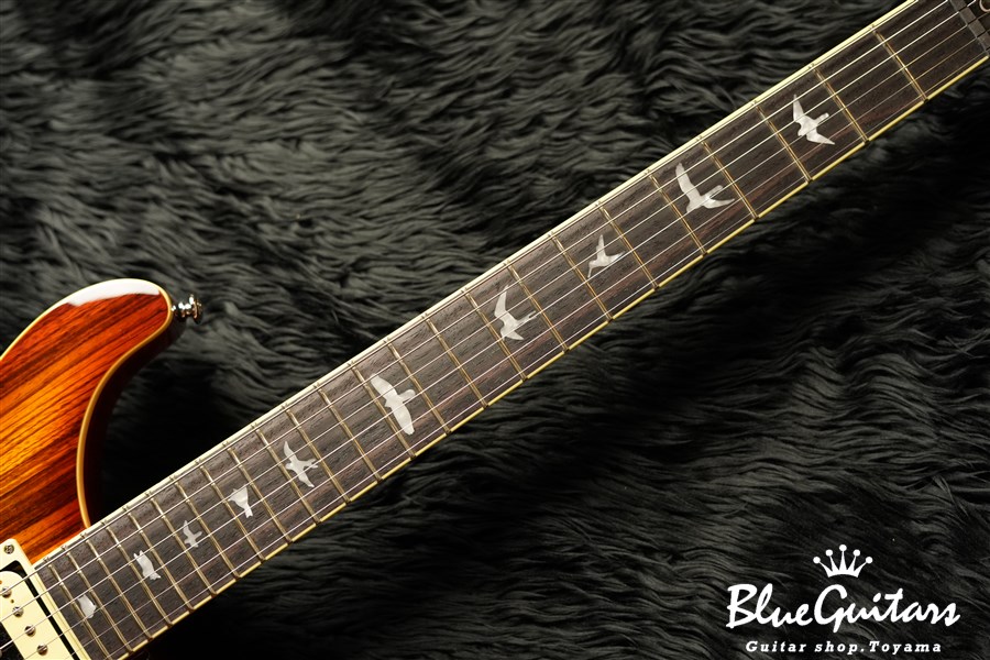 Paul Reed Smith(PRS) SE Custom 24 Zebrawood | Blue Guitars Online Store