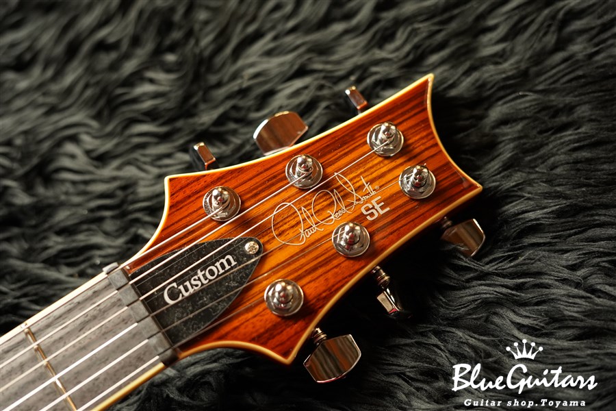 Paul Reed Smith(PRS) SE Custom 24 Zebrawood | Blue Guitars Online Store