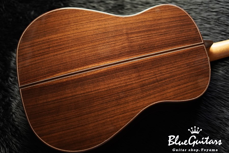 PTJ-100 MS 45th Anniversary