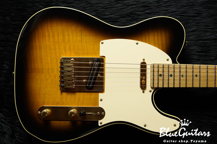 Fender JAPAN TLR-RK - Ritchie Kotzen Signature Model | Blue ...
