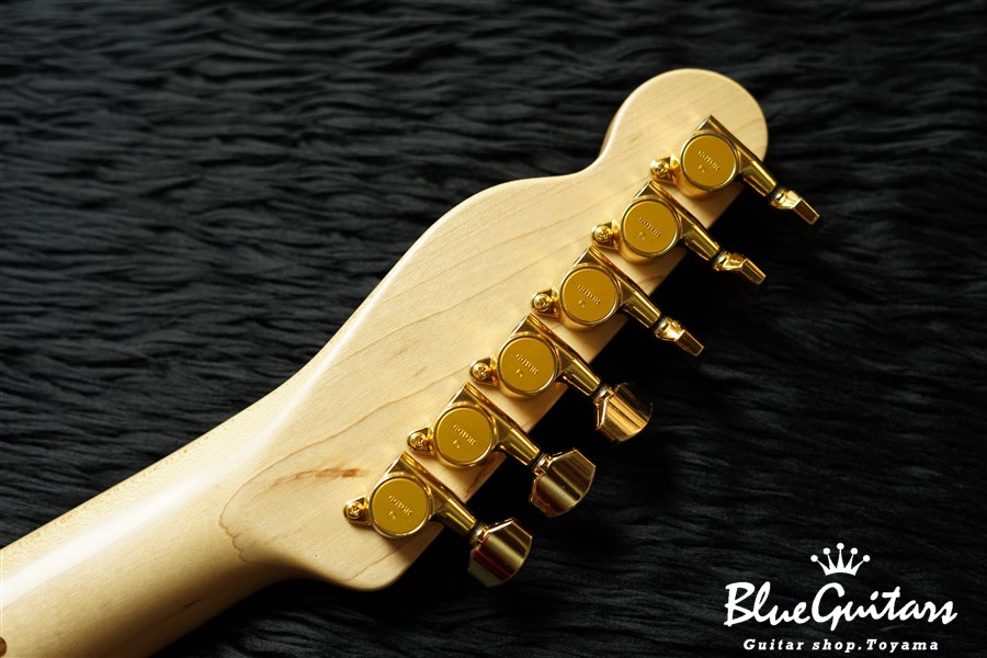 Fender JAPAN TLR-RK - Ritchie Kotzen Signature Model | Blue 