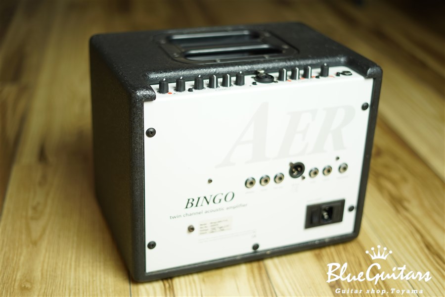 BINGO twin channel acoustic amplifier | connectedfire.com