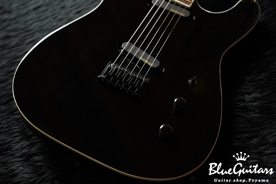 FERNANDES TEJ-Standard 2S - Black | Blue Guitars Online Store