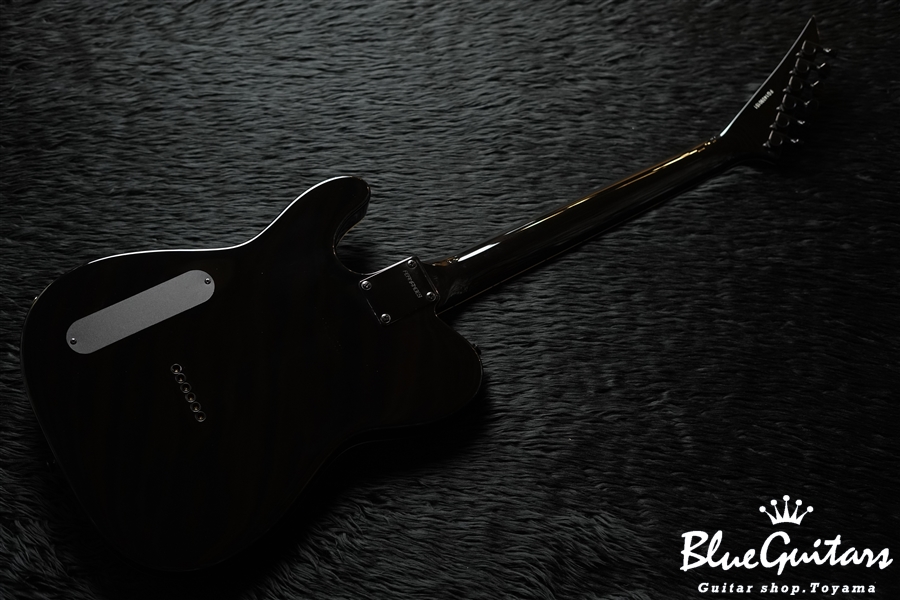 FERNANDES TEJ-Standard 2S - Black | Blue Guitars Online Store
