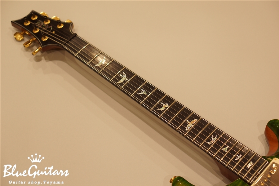 Paul Reed Smith(PRS) Artist V - Eriza Verde | Blue Guitars Online