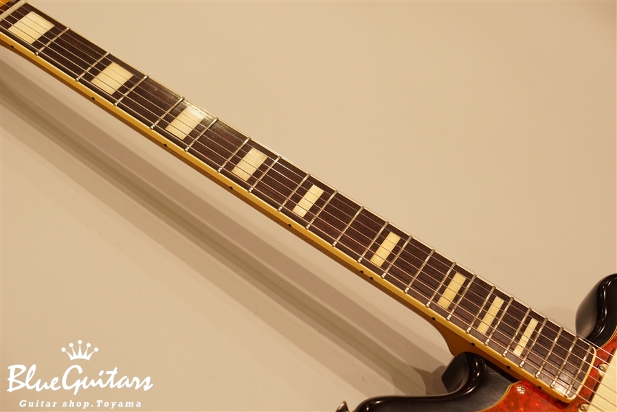 g'7 Special g7-JM Type3 - Vintage Black Beauty | Blue g'7 Special g7-JM Type3 - Vintage Black Beauty | Blue