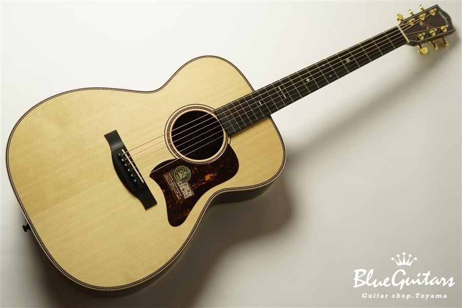 HEADWAY HF-501 A,S/ATB | Blue Guitars Online Store