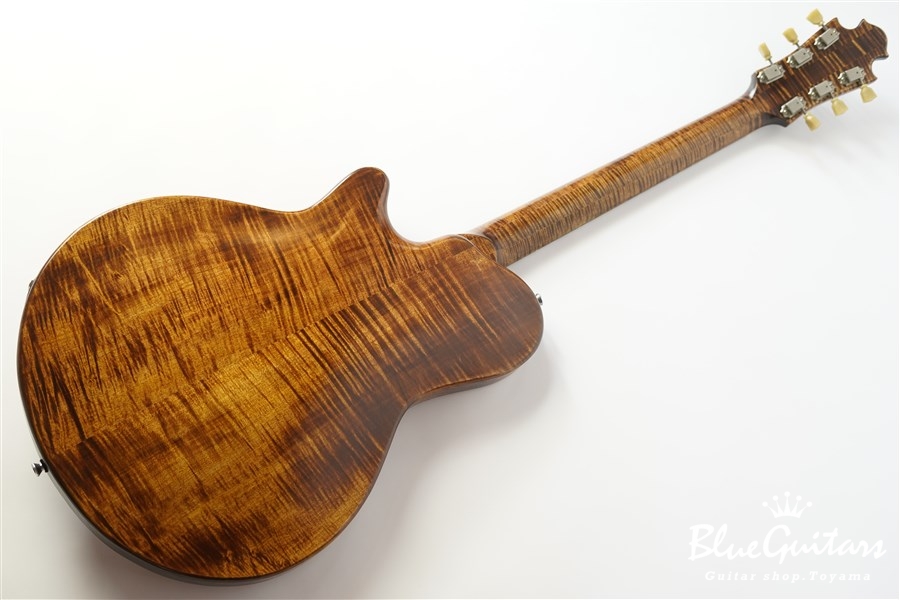 Nishgaki Guitars (Style-N Nishgaki Guitars) Arcus Ens - Organic 